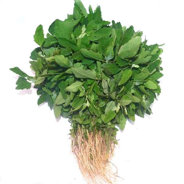 Wild spinach (बथुआ )